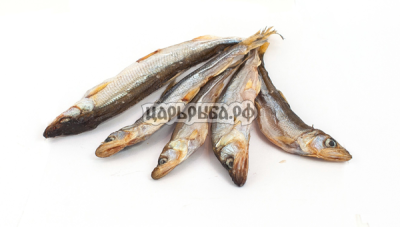 КОРЮШКА Малоротка с/м (10+)